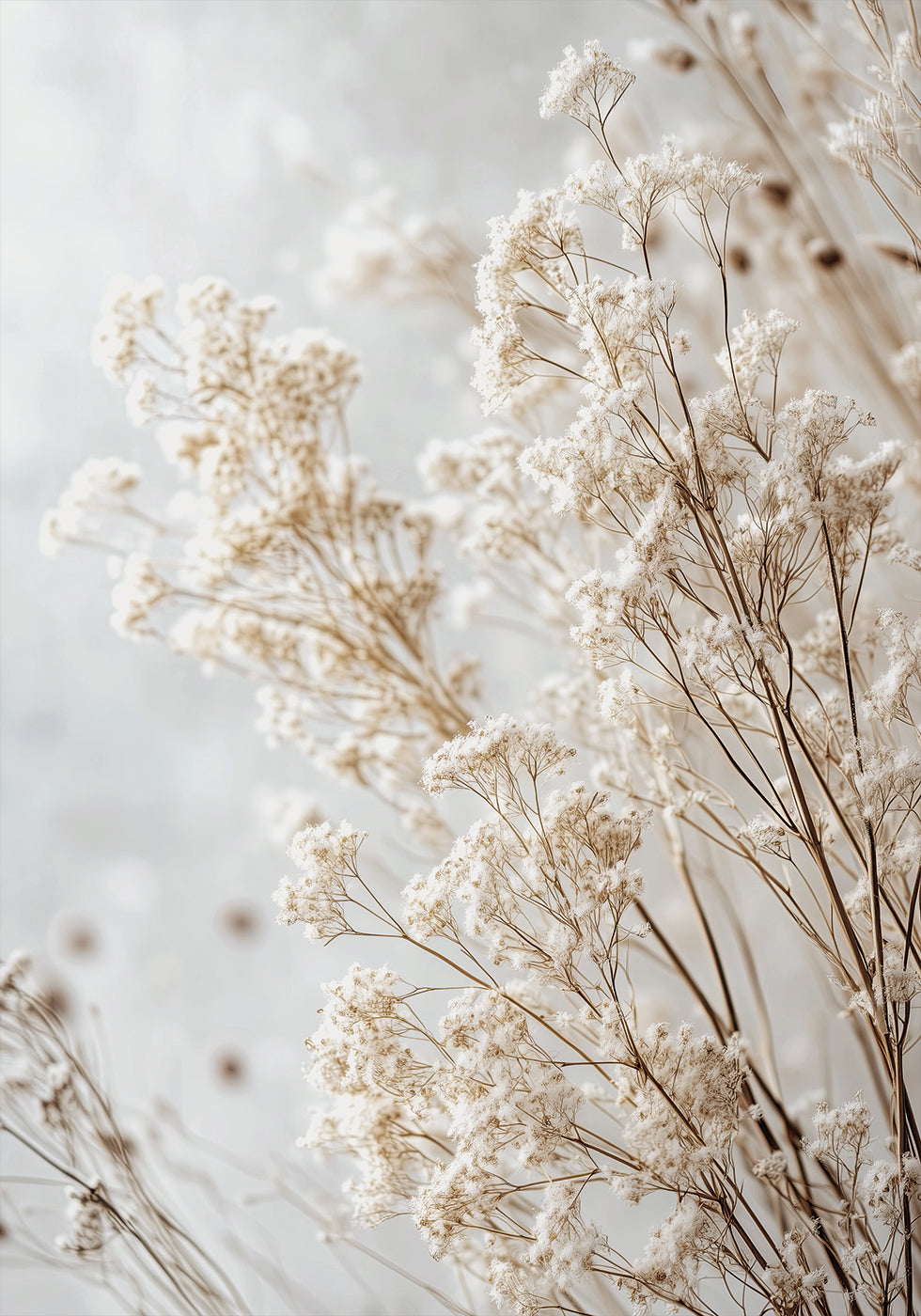 Soft Whispers of Dried Wildflowers in Light Tones Plakat - Posterbox.dk