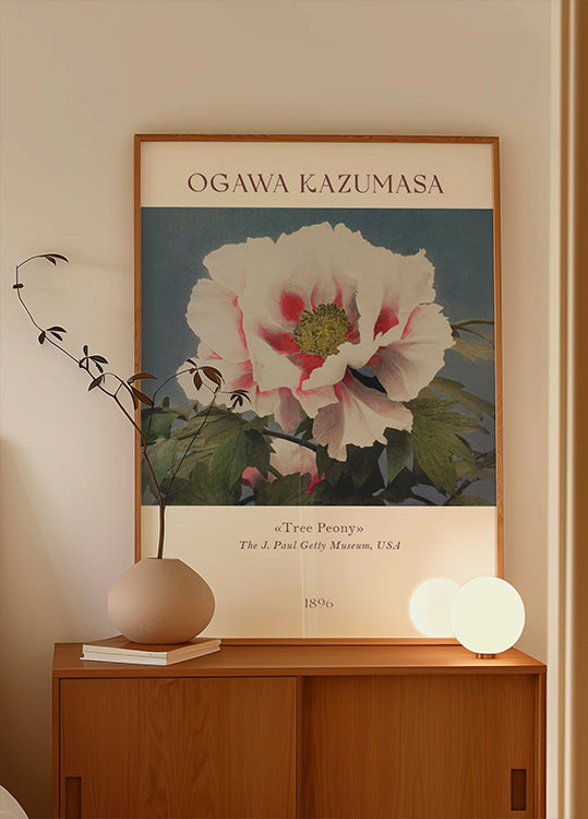 Tree Peony, Ogawa Kazumasa Foral Plakat - Posterbox.dk
