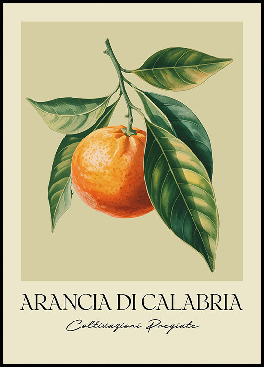 Arancia Di Calabria Plakat - Posterbox