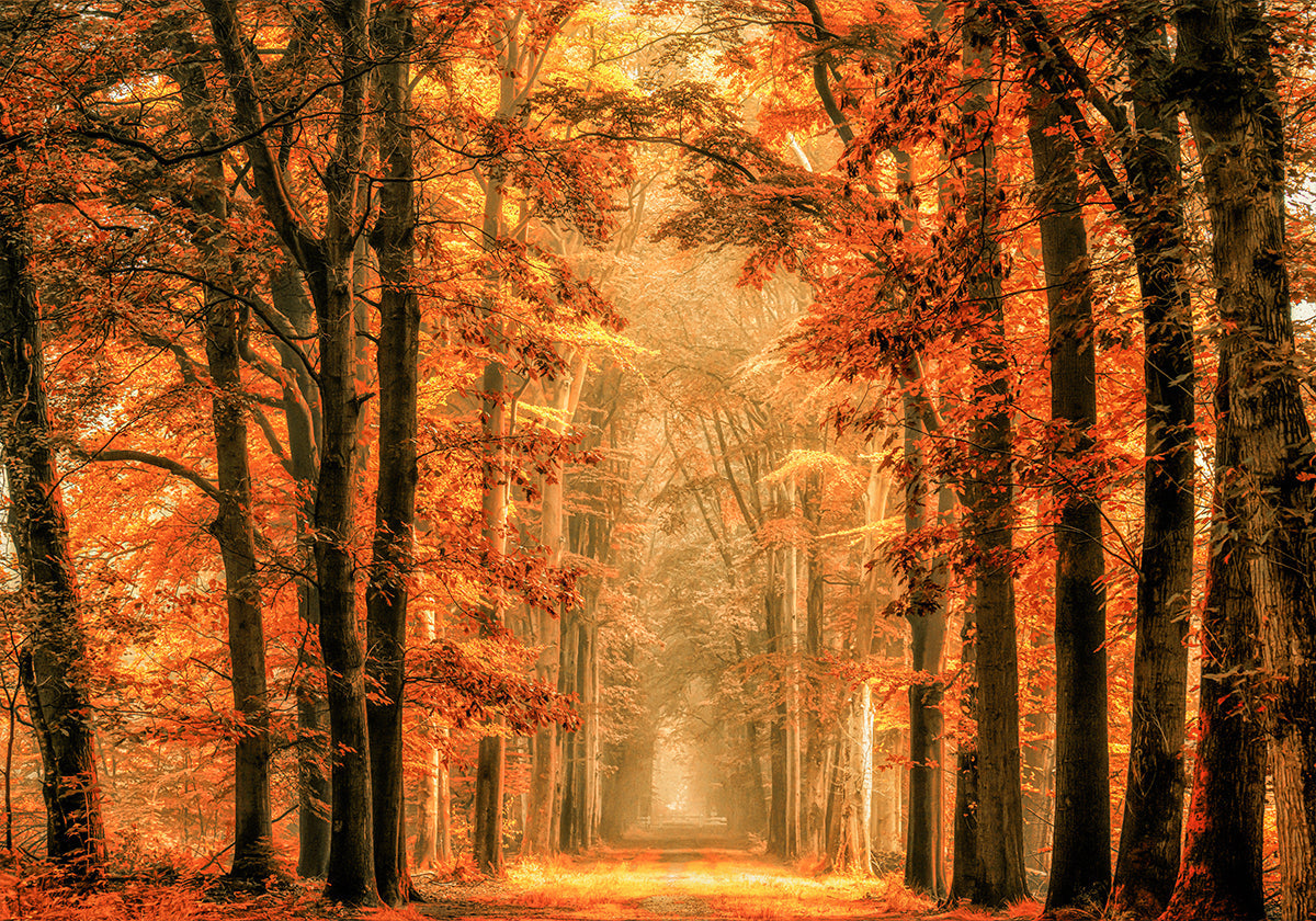 Quittez le portail Poster