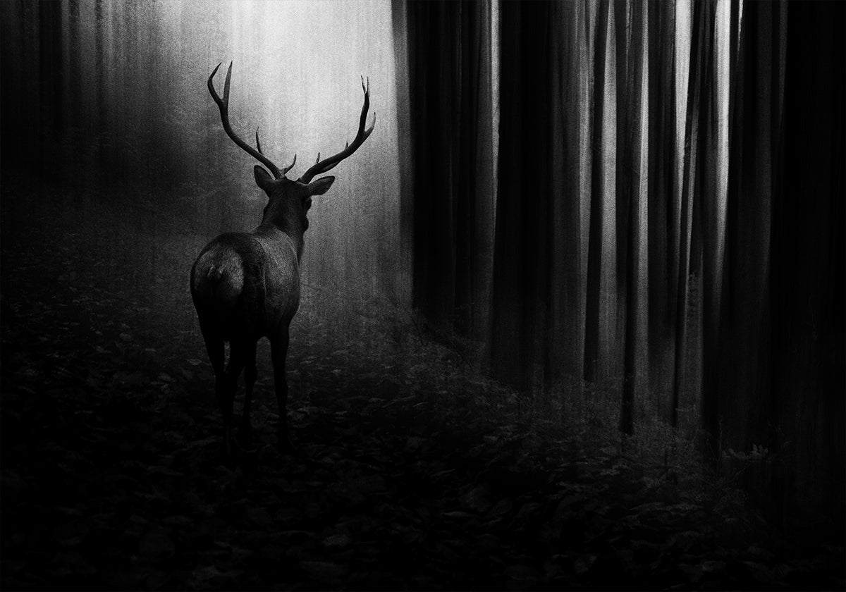 Cerf