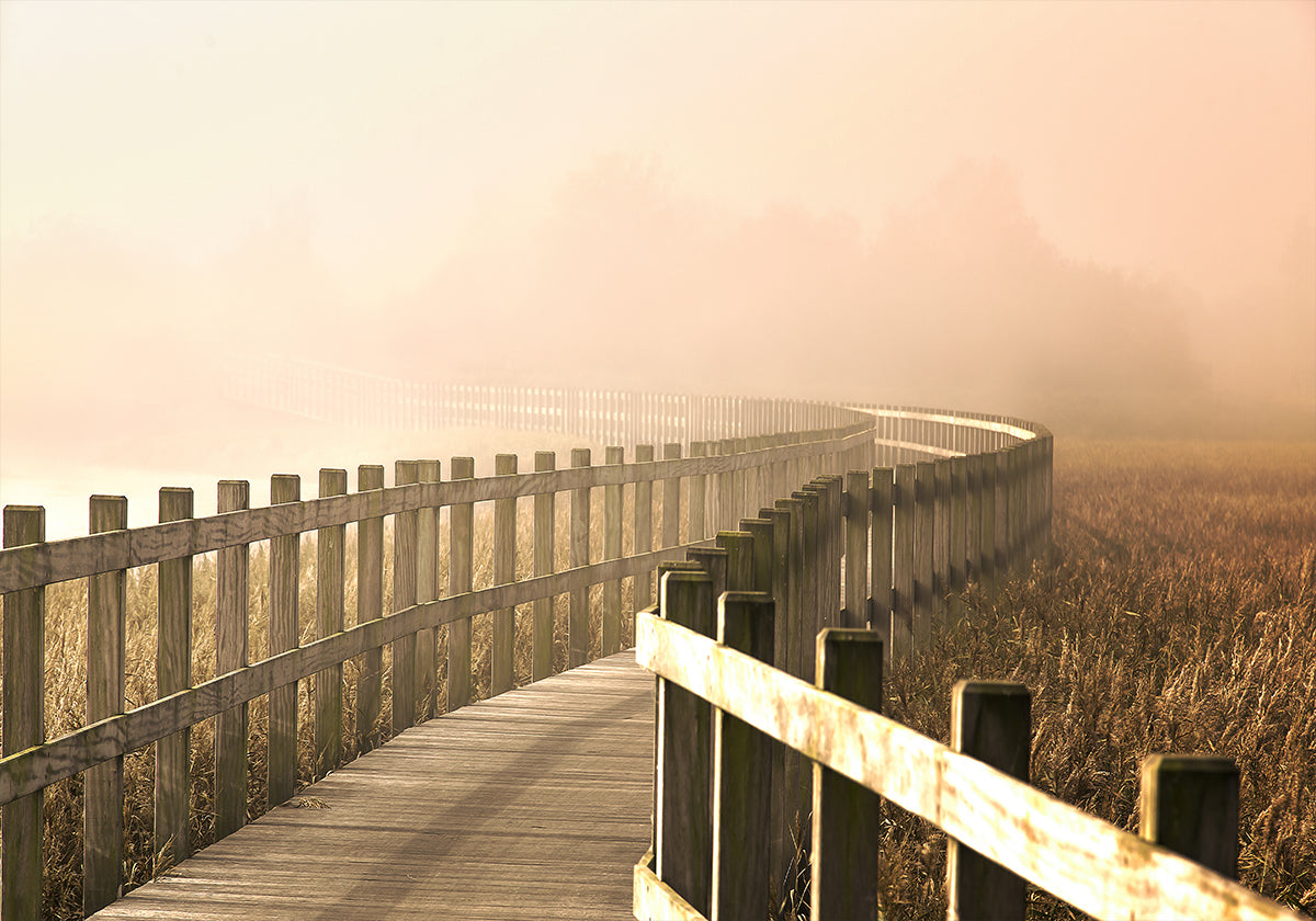 Le Chemin devient plus lumineux.