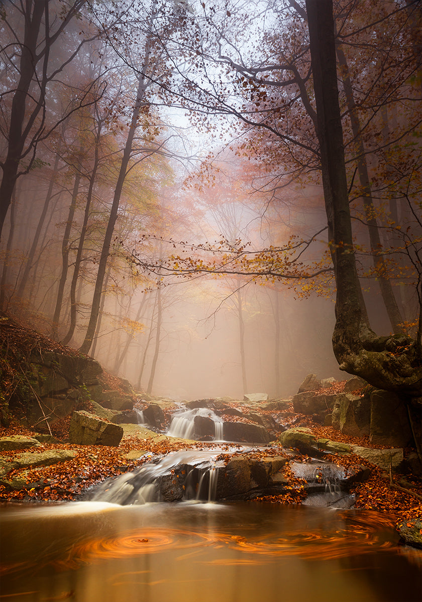 Brume brumeuse Poster