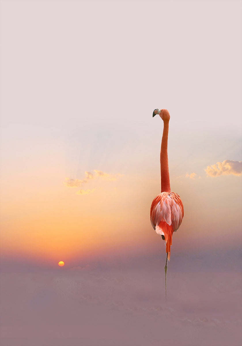 coucher de soleil...