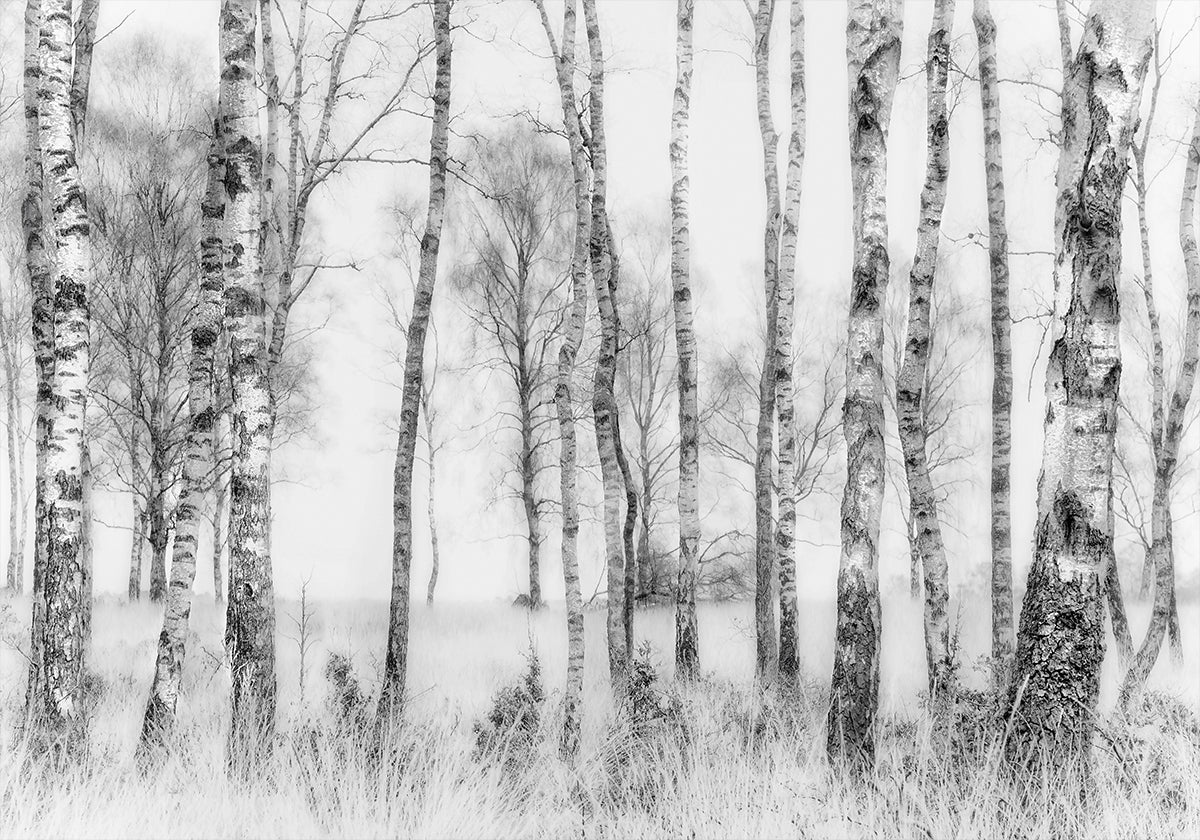 Noir et blanc