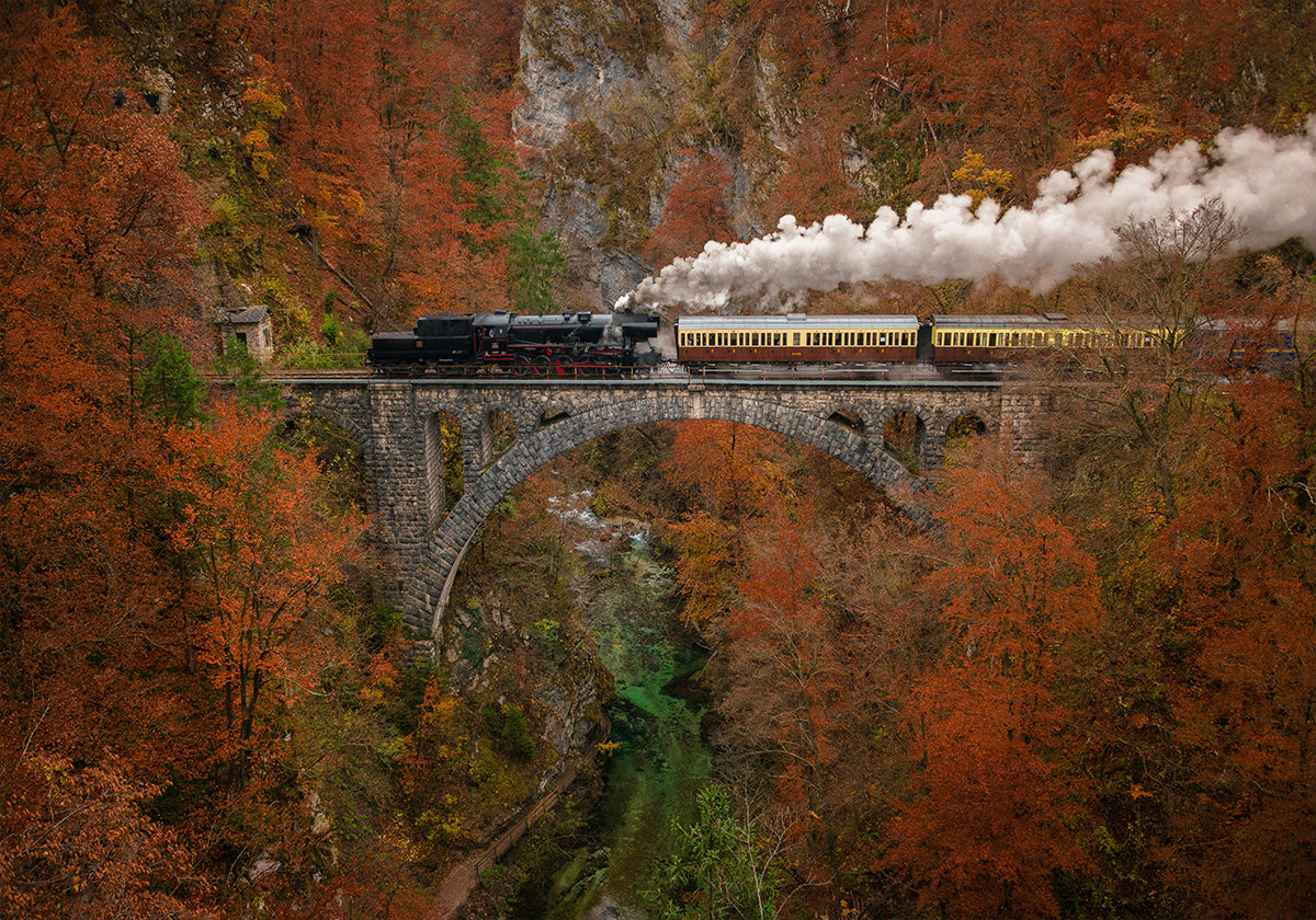 Train-musée Poster