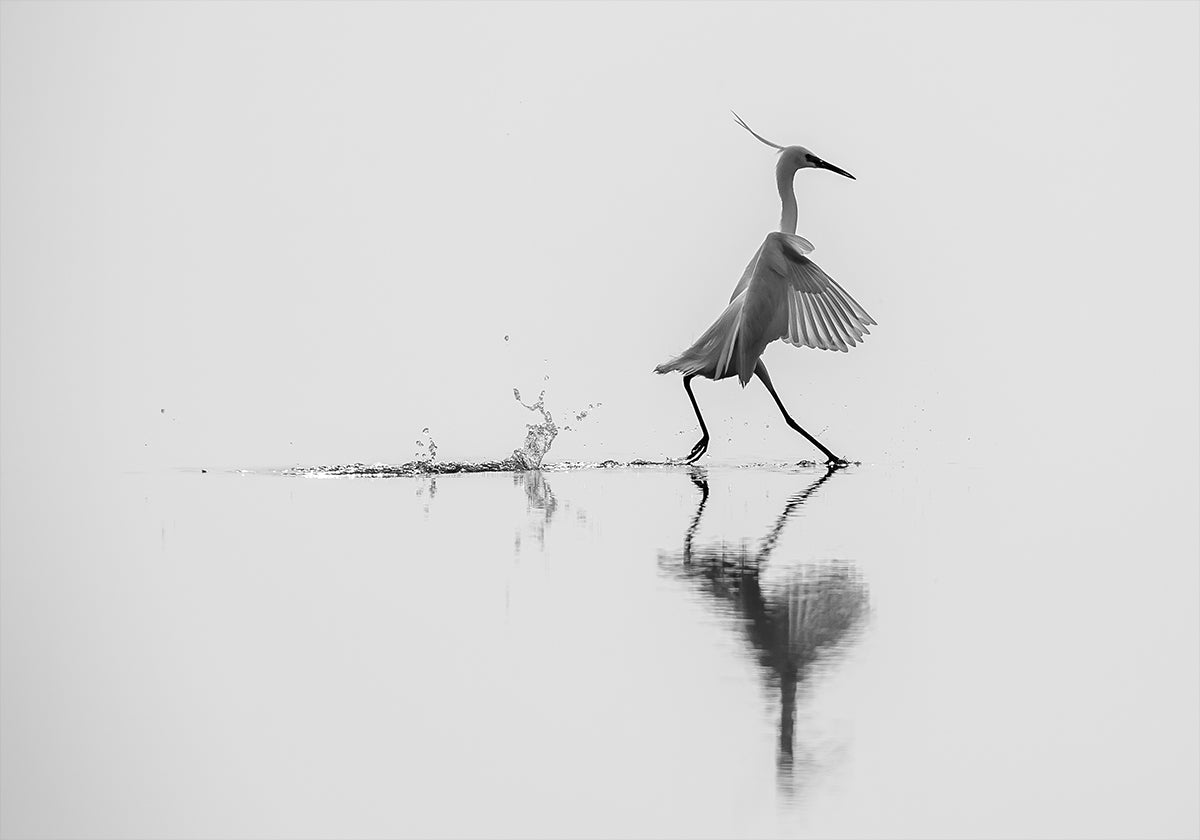 "Danser sur l'eau" Poster