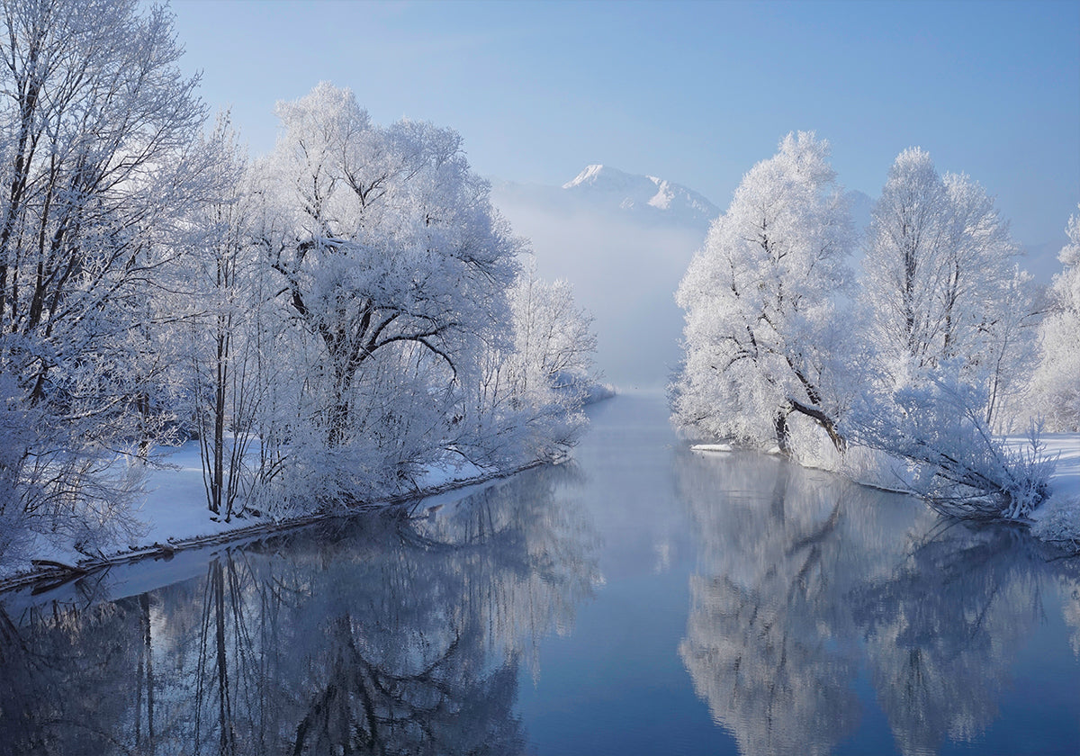 matin le plus froid Poster