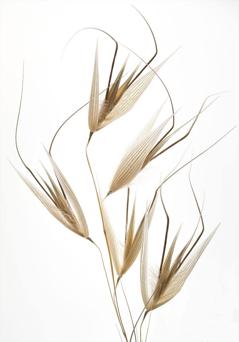 Délicatesse de la nature