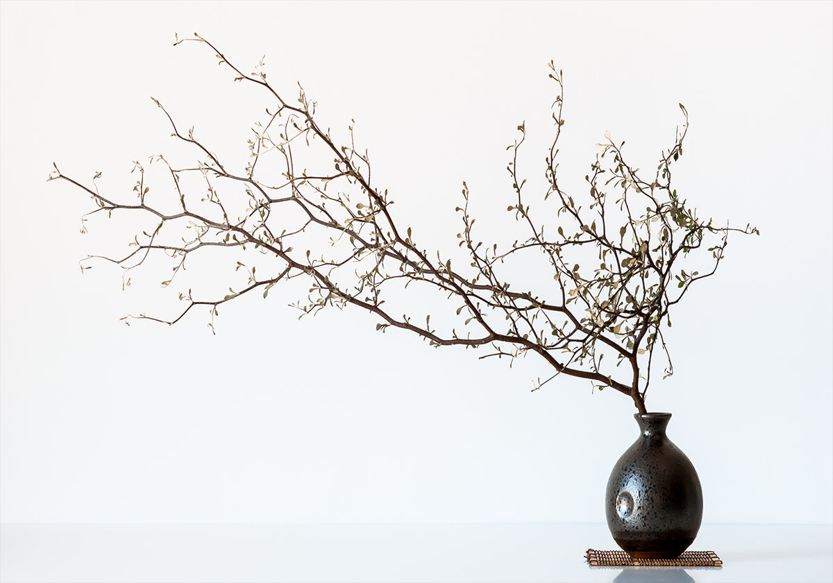 Vase Et Branche