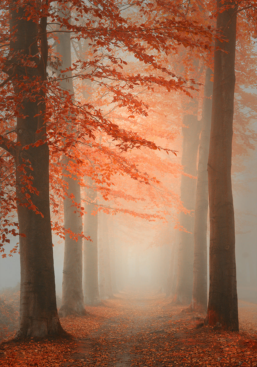Rêve d'automne Poster