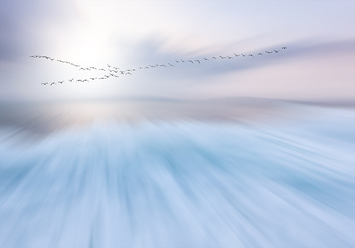 survoler Poster