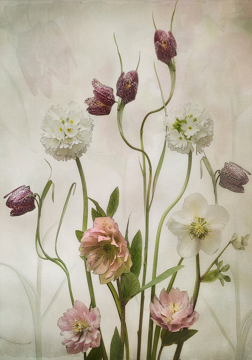 Jardin de printemps