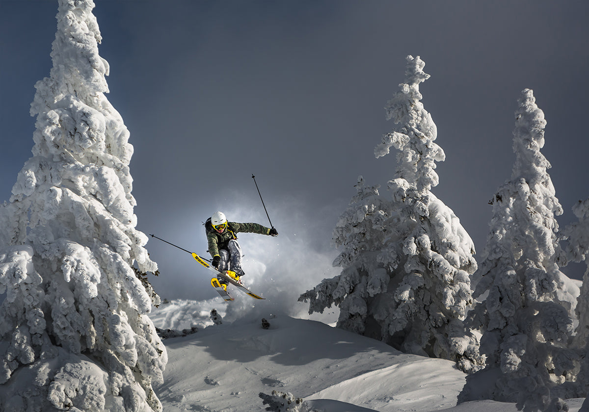 Le ski c'est la vie Poster