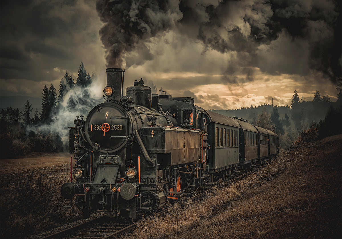 Train chercheur d'or Poster