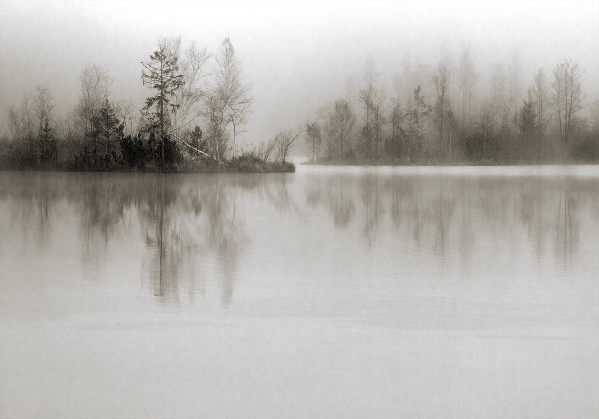 Dissolution