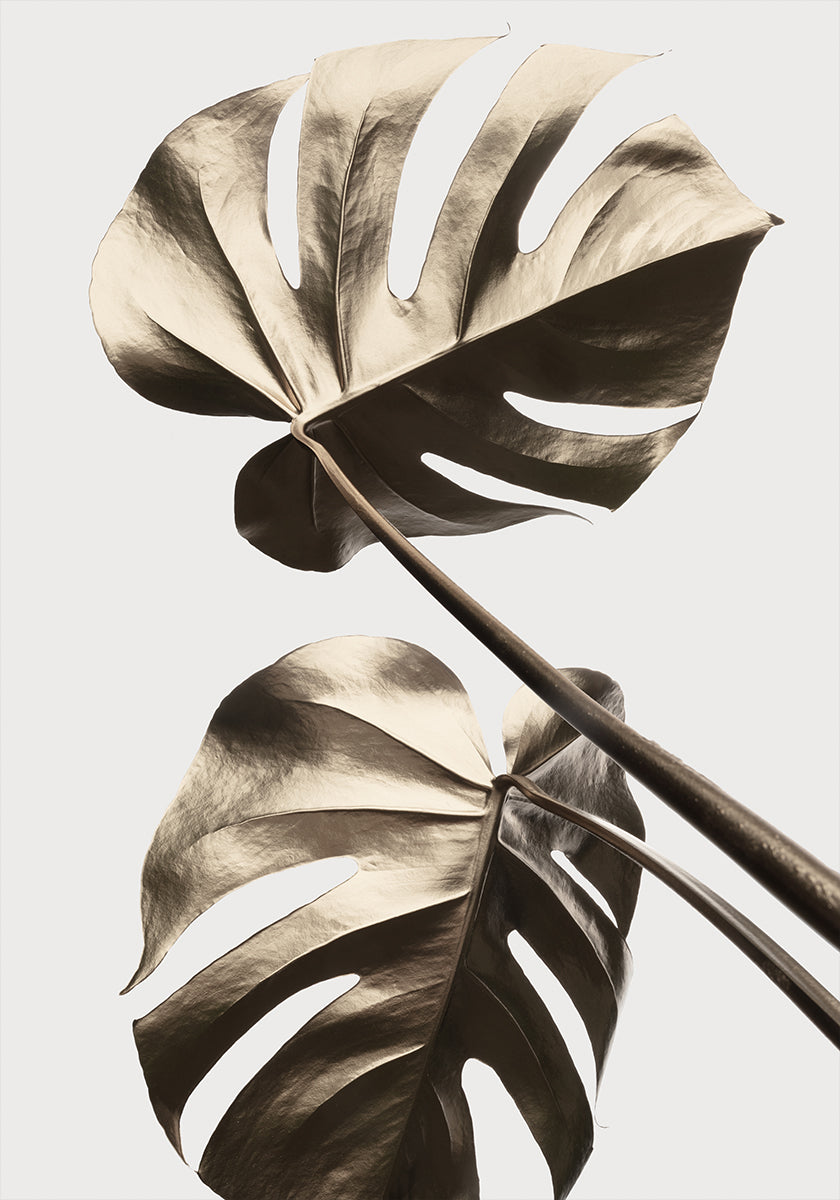 Monstera Or 08 Poster