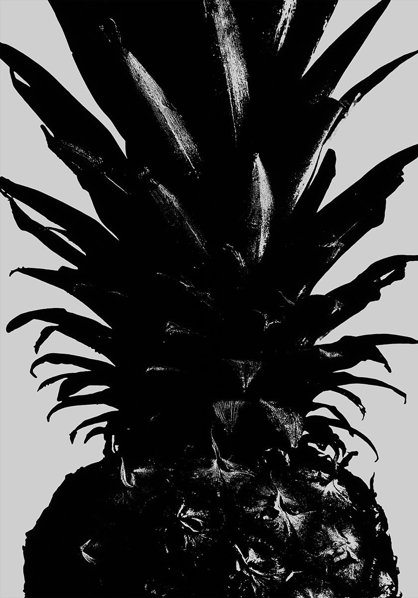 Ananas pc