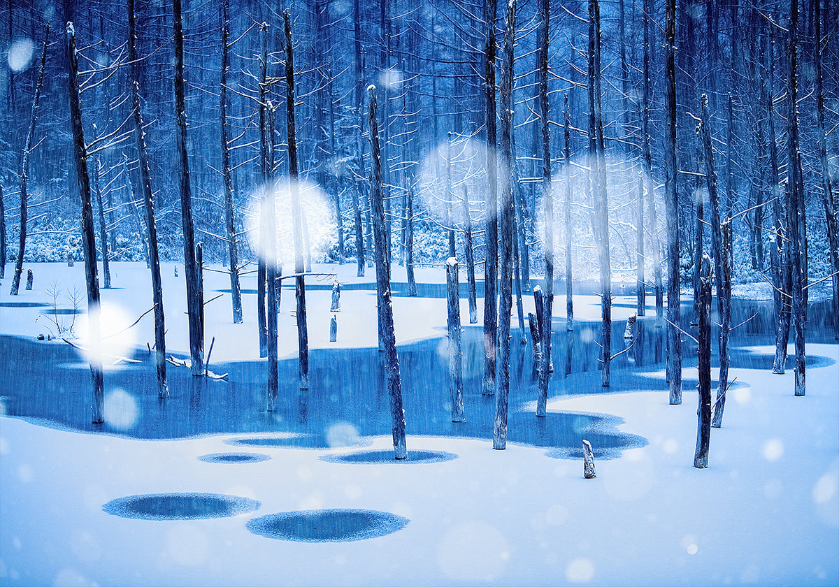 Pays des fées Poster