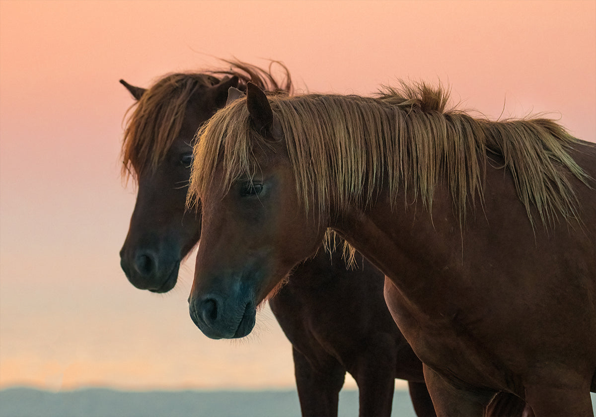 Avec impatience Poster