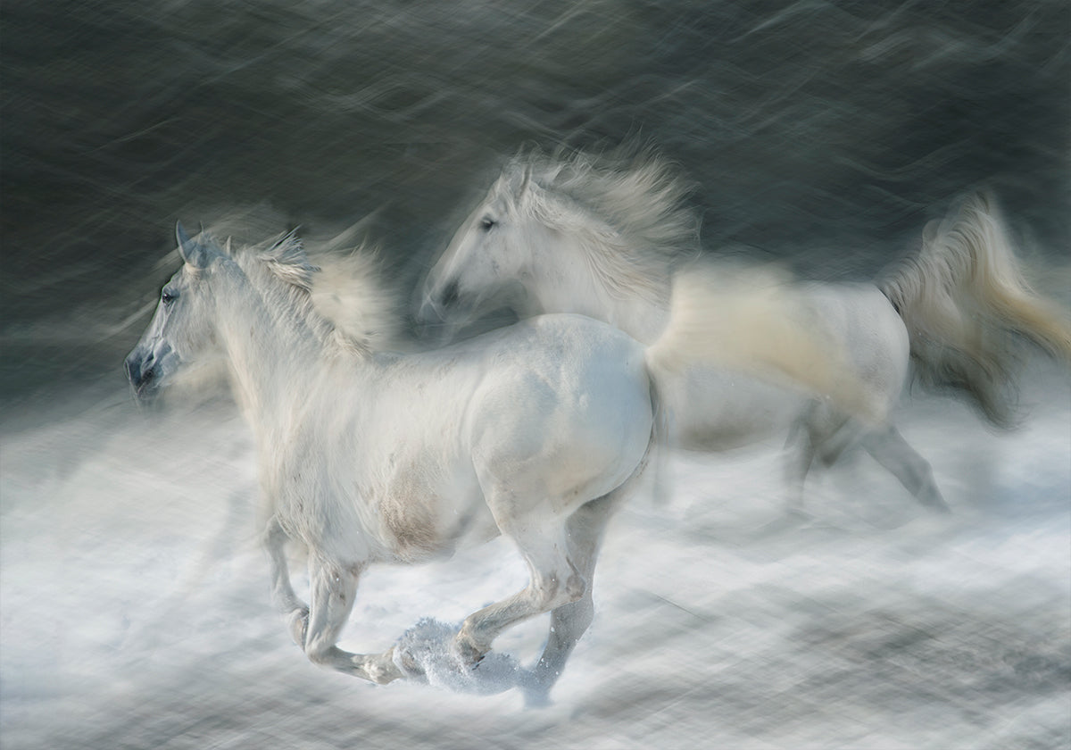 galoper dans un duel Poster