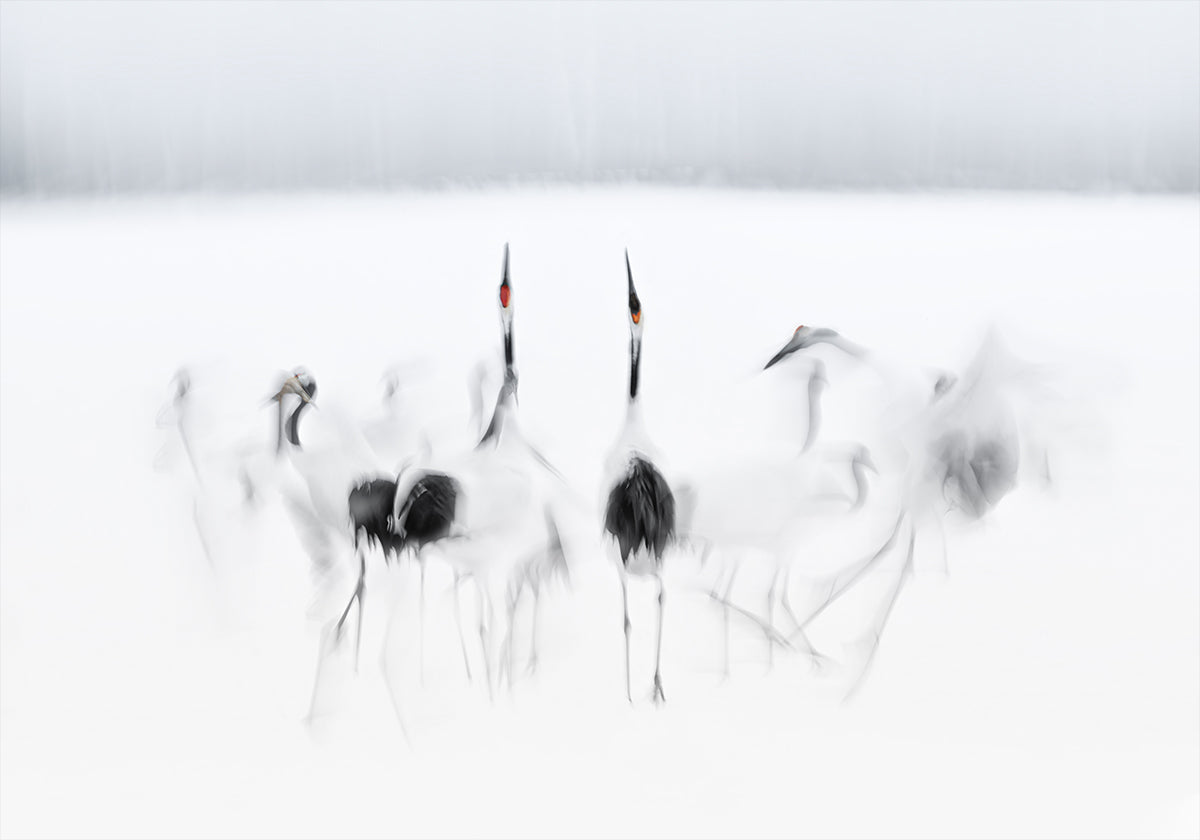 Ballet calligraphique Poster