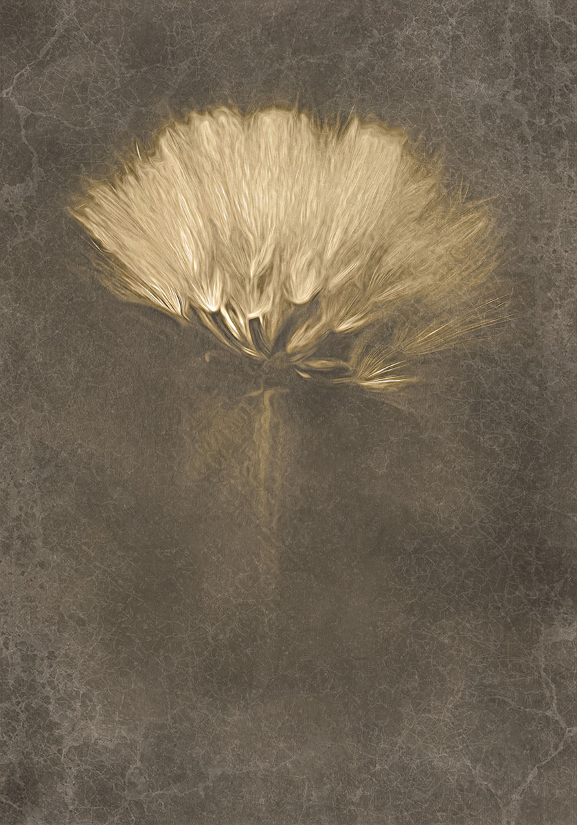 Jours mystérieux Poster