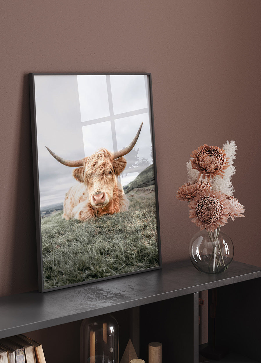 Affiche relaxante sur la vache des Highlands