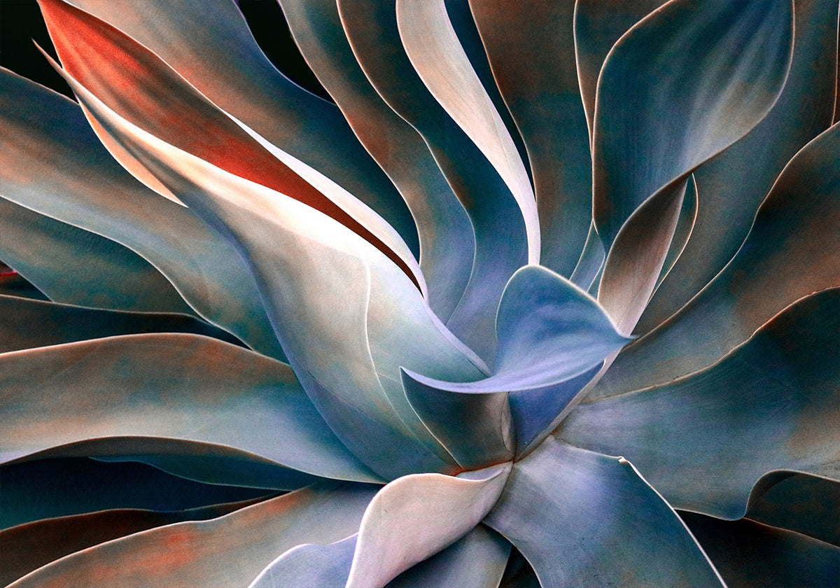 Les couleurs des feuilles Poster