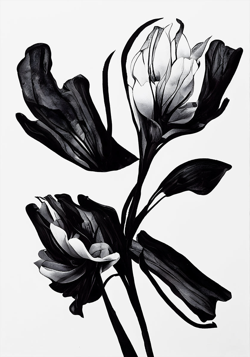 Fleur noire