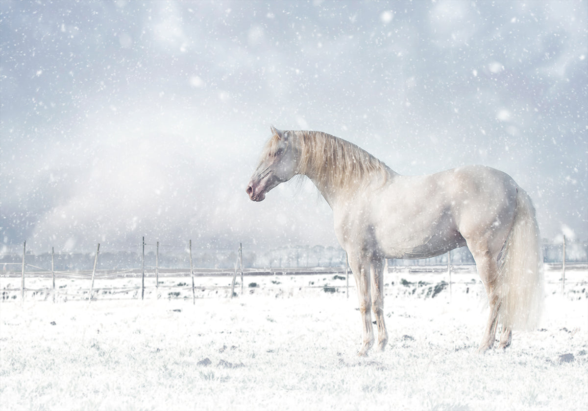 Let it snow... Plakat