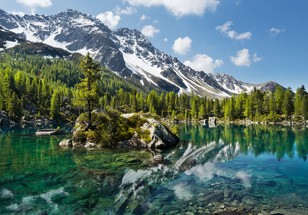 Lac de montagne verte Poster