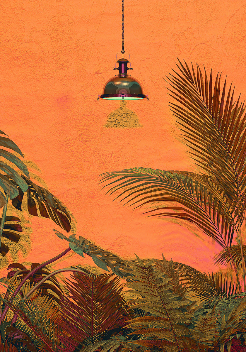 MUR TROPICAL