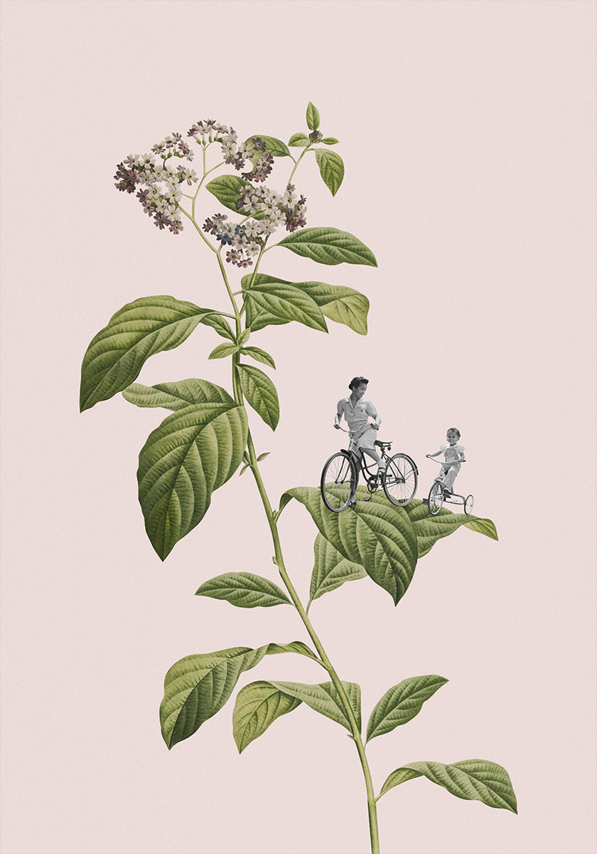 Cyclisme botanique