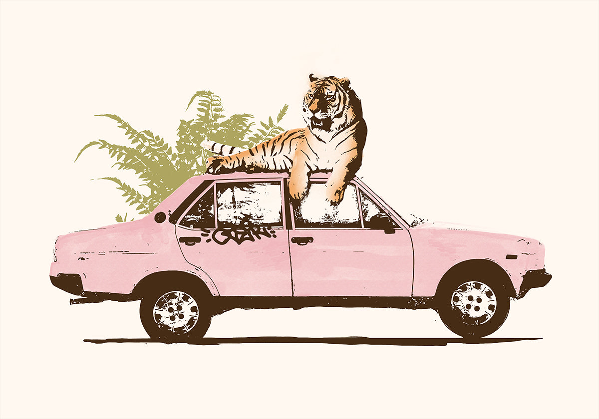 Tigre sur voiture