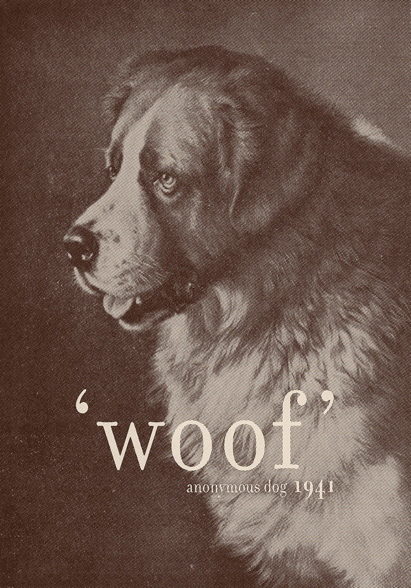 Chien de citation célèbre Poster