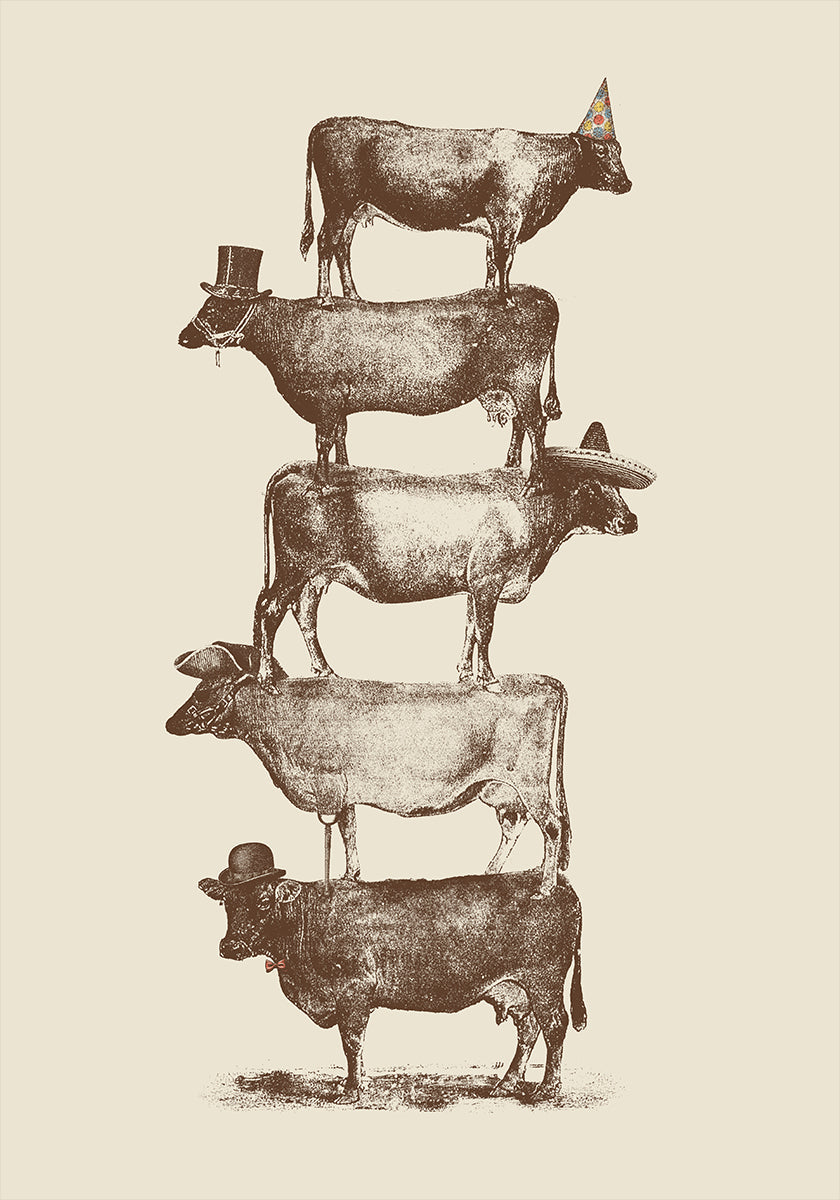 Vache Noix de vache Poster
