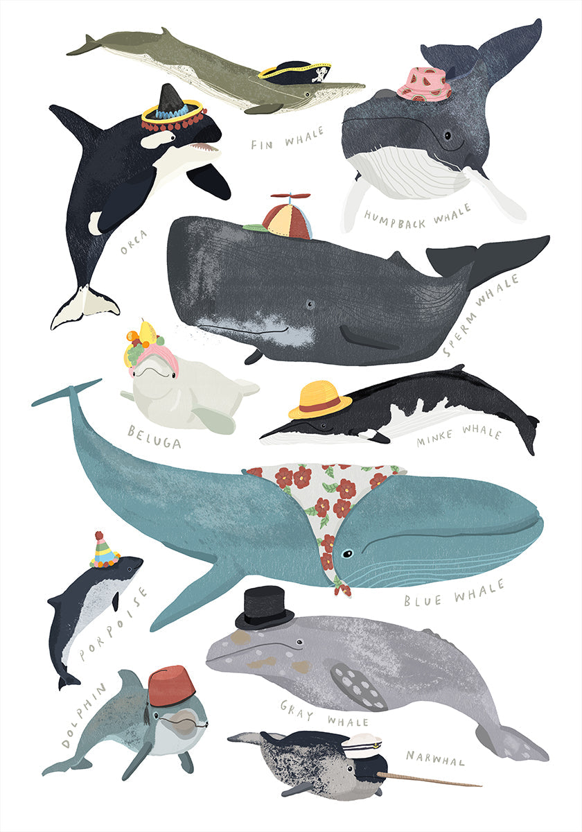 Baleines en chapeaux Poster