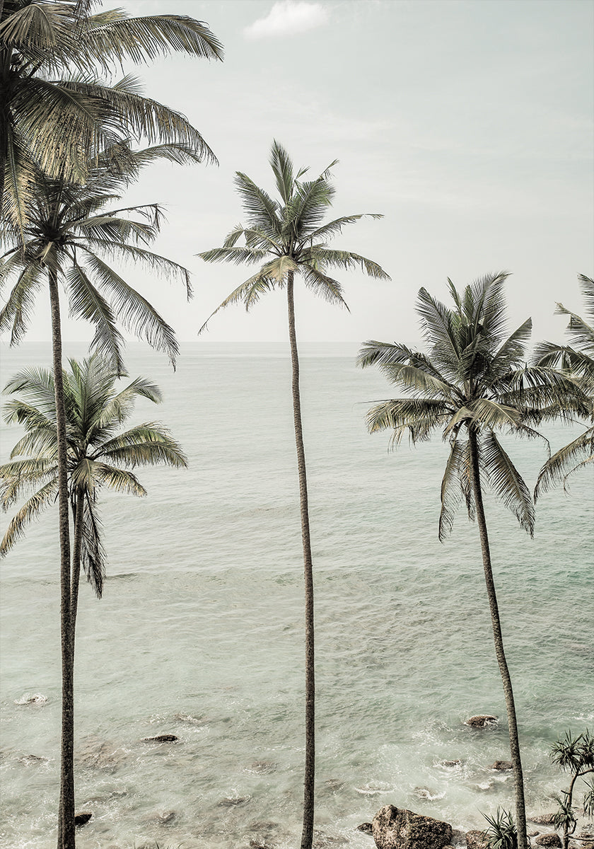 Rêves tropicaux Poster