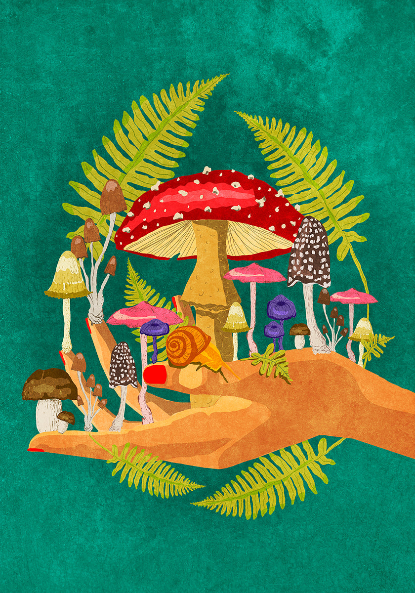 Mon Cosmos Champignon Poster