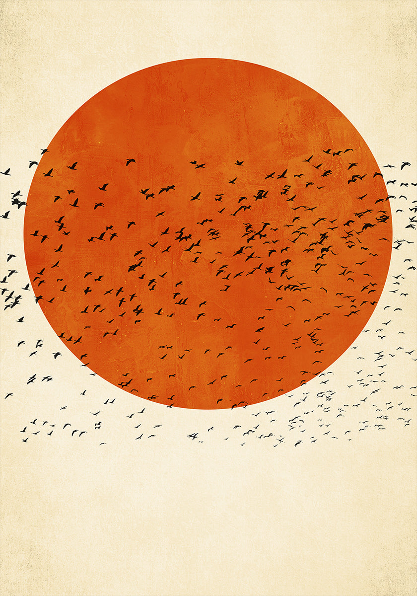 Oiseaux au soleil Poster