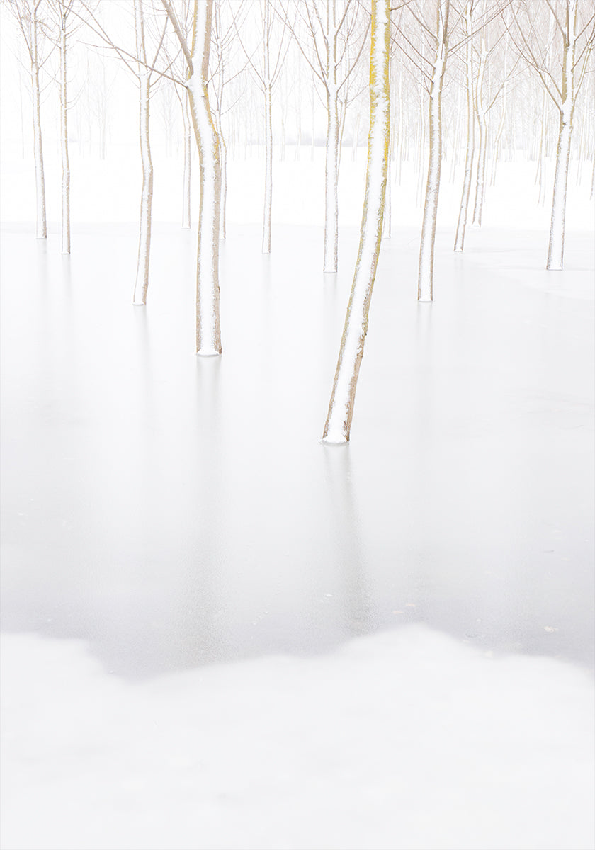Réflexion d'hiver Poster