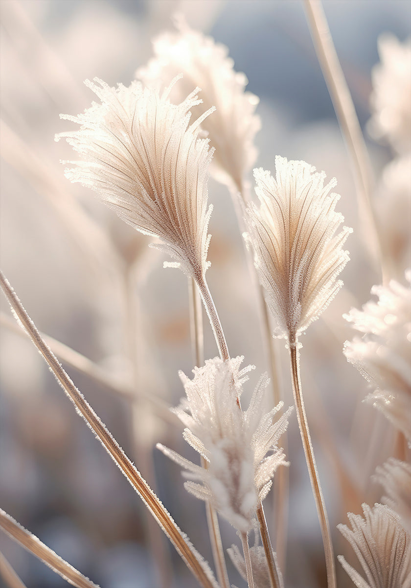 Élégance givrée Poster