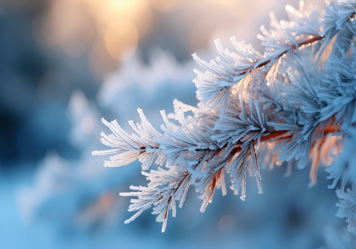 Sérénité givrée Poster