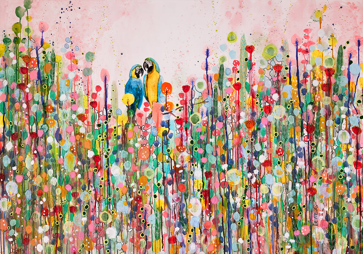 Plumes d'amour