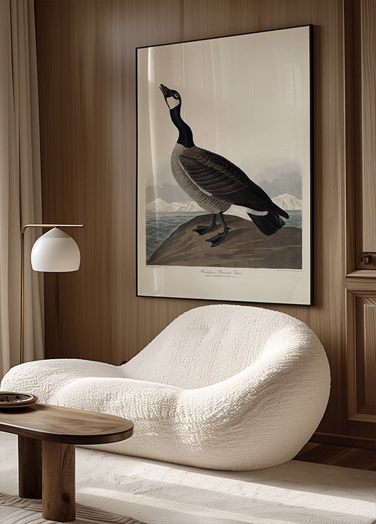 Hutchins's Barnacle Goose From Birds of America (1827) (NEW) - Posterbox