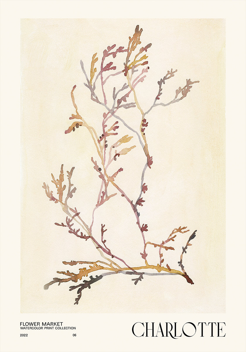 Collection d'impressions à l'aquarelle. Marché aux fleurs - Charlotte