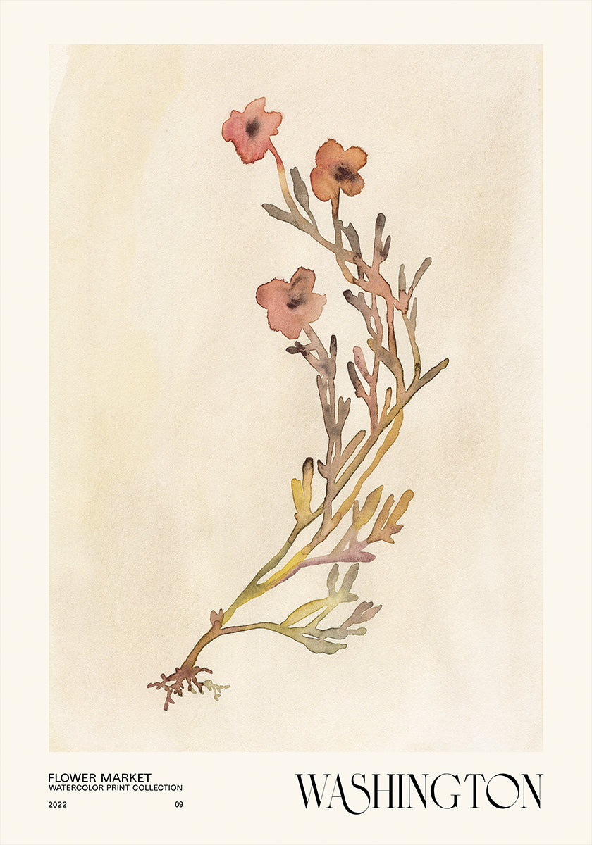 Collection d'impressions à l'aquarelle. Marché aux fleurs - Washington