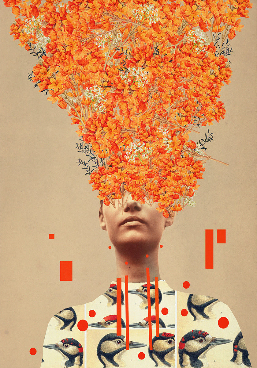 Vol d'oiseau en automne Poster