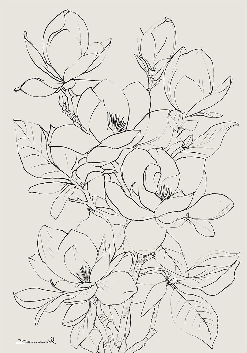 Magnolia